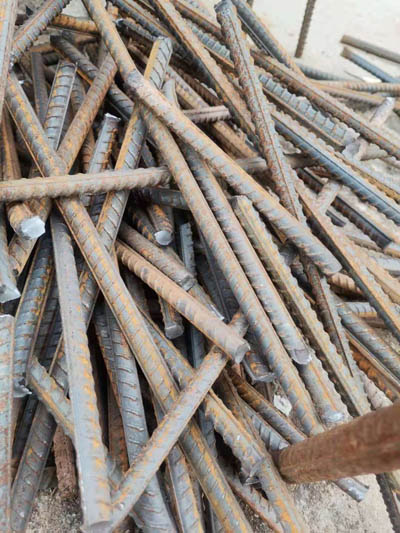 生(shēng)物(wù)多(duō)樣性是(shì)人(rén)類賴以生(shēng)存的(de)基本條件(jiàn)，是(shì)經濟社會(huì)可(kě)持續發展的(de)物(wù)..